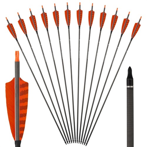 12pk carbon arrows - arrows, sp400