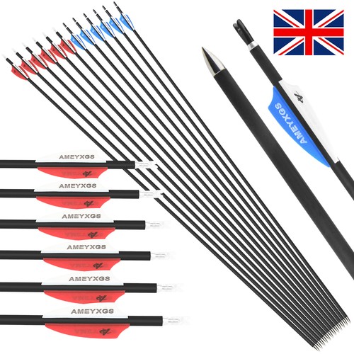 12x achery carbon - achery, arrows