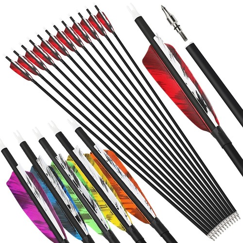 Carbon arrows 4 - 28", 31"