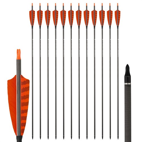 Archery carbon arrows - 32",