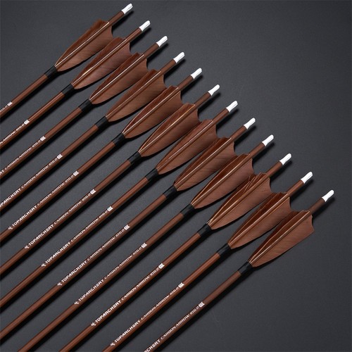 Archery hunting carbon - archery, 32"