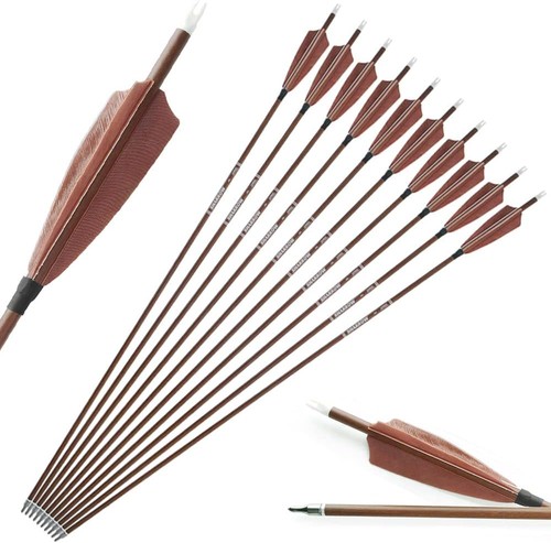 Pure carbon arrows sp340 - pure,