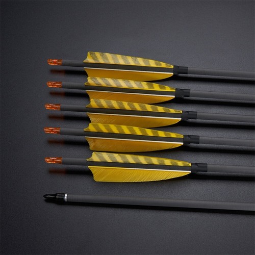 Archery hunting carbon - 32",