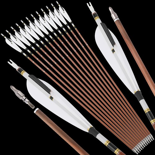 12x pure carbon - 31",