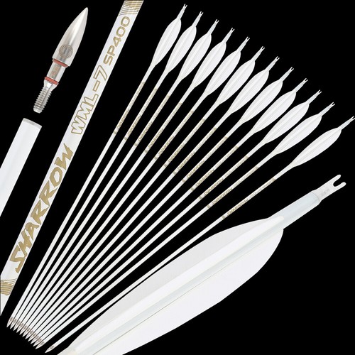 Archery pure carbon - 32", arrows