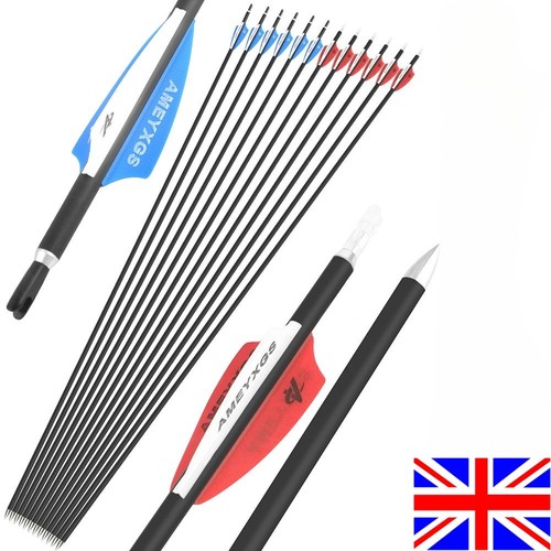 12pcs carbon arrow - 12pcs, sp1000