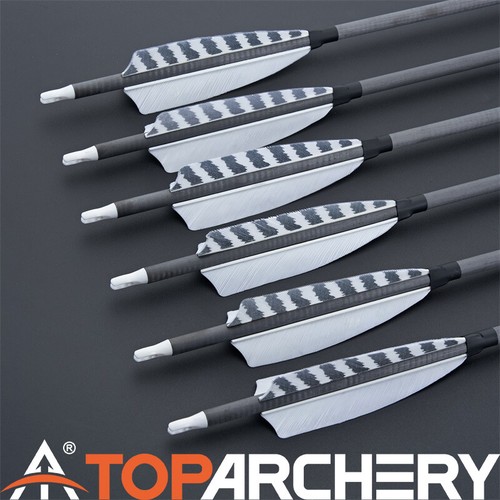 Pack archery carbon - 6-pack,
